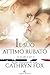 Il suo attimo rubato (In the Line of Duty, #4)