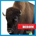 Bison