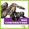 Boa Constrictors (Reptile World)