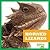 Horned Lizards (Reptile World)