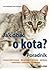 Jak dbac o kota Poradnik