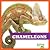 Chameleons (Reptile World)