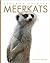 Meerkats (Amazing Animals)
