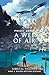 A Web of Air (Fever Crumb, #2)