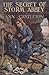 The Secret of Storm Abbey by Ann Castleton