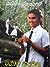 ගොලු හදවත