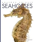 Seahorses