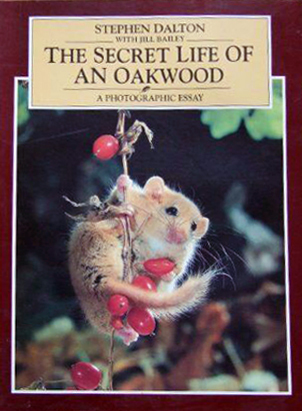 The Secret Life of an Oakwood: a photographic essay