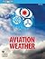 Aviation Weather (2023): FAA Advisory Circular (AC) 00-6B (ASA FAA Handbook Series)