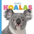 Baby Koalas