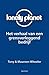 Lonely Planet: het verhaal van een grensverleggend bedrijf