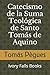 Catecismo de la Suma Teológica de Santo Tomás de Aquino (Spanish Edition)