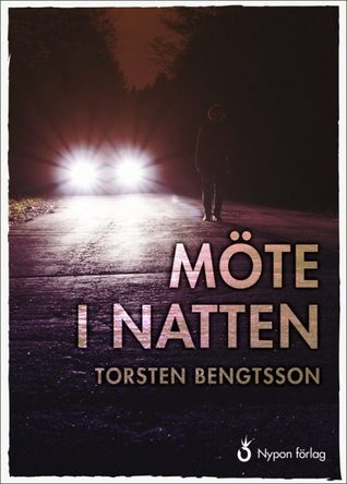 Möte i natten (Hardcover)