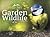 Villager Jim's Garden Wildlife by Villager Jim