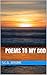 Poems to my God