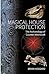 Magical House Protection The Archaeology of Counter-Witchcraft by Brian Hoggard