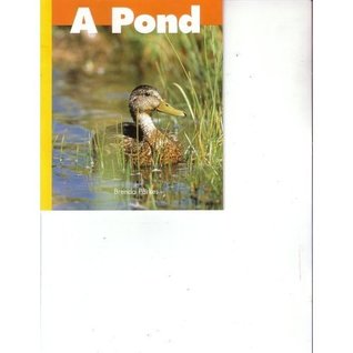 A Pond (Paperback)