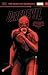 Daredevil: Back in Black, Vol. 8: The Death of Daredevil