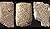 Letters from the Great Kings