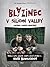 Blázinec v Silicon Valley