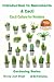 Introduction to Succulents & Cacti - Cacti Culture for Newbies (Gardening Series Book 55)