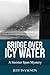 Bridge over Icy Water: A Si...