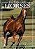 The World of Horses