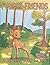 Forest Friends: A Coloring ...