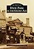 Hyde Park in the Gilded Age (Images of America)