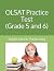 OLSAT Practice Test (Grade ...