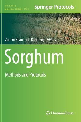 Sorghum: Methods and Protocols (Methods in Molecular Biology, 1931)