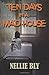 Ten Days in A Madhouse