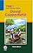 David Copperfield