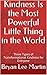 Kindness Is the Most Powerful Little Thing in the World by Bryan Lee Martin
