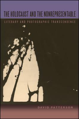 The Holocaust and the Nonrepresentable: Literary and Photographic Transcendence (Paperback)