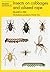Insects on Cabbages and Oilseed Rape (Naturalists' Handbooks) by William D.J. Kirk