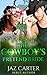 The Cowboy's Pretend Bride (Touching Weddings, #9)