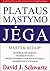 Plataus mąstymo jėga. Mąstyk kitaip! by David J. Schwartz Plataus mąstymo jėga. Mąstyk kitaip! by David J. Schwartz