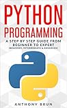 Python Programmin...