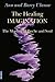 The Healing Imagination: The Meeting of Psyche and Soul (Integration Books)