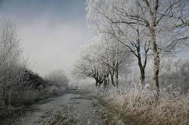 Hoarfrost