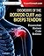 Disorders of the Rotator Cuff and Biceps Tendon: The Surgeon’s Guide to Comprehensive Management