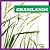 Grasslands (Ecosystems)