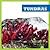 Tundras (Ecosistemas / Ecosystems)