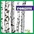 Forests (Ecosystems)