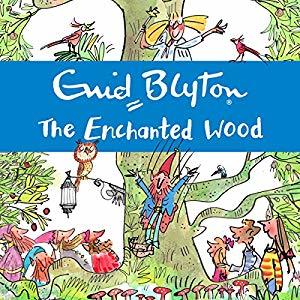 The Enchanted Wood