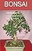 Bonsai For Beginners: A Comprehensive and Practical Guide for beginners