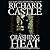 Crashing Heat (Nikki Heat, #10)