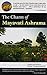 The Charm of Mayavati Ashrama