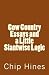Cow Country Essay's and a Little Slantwise Logic by Chip Hines